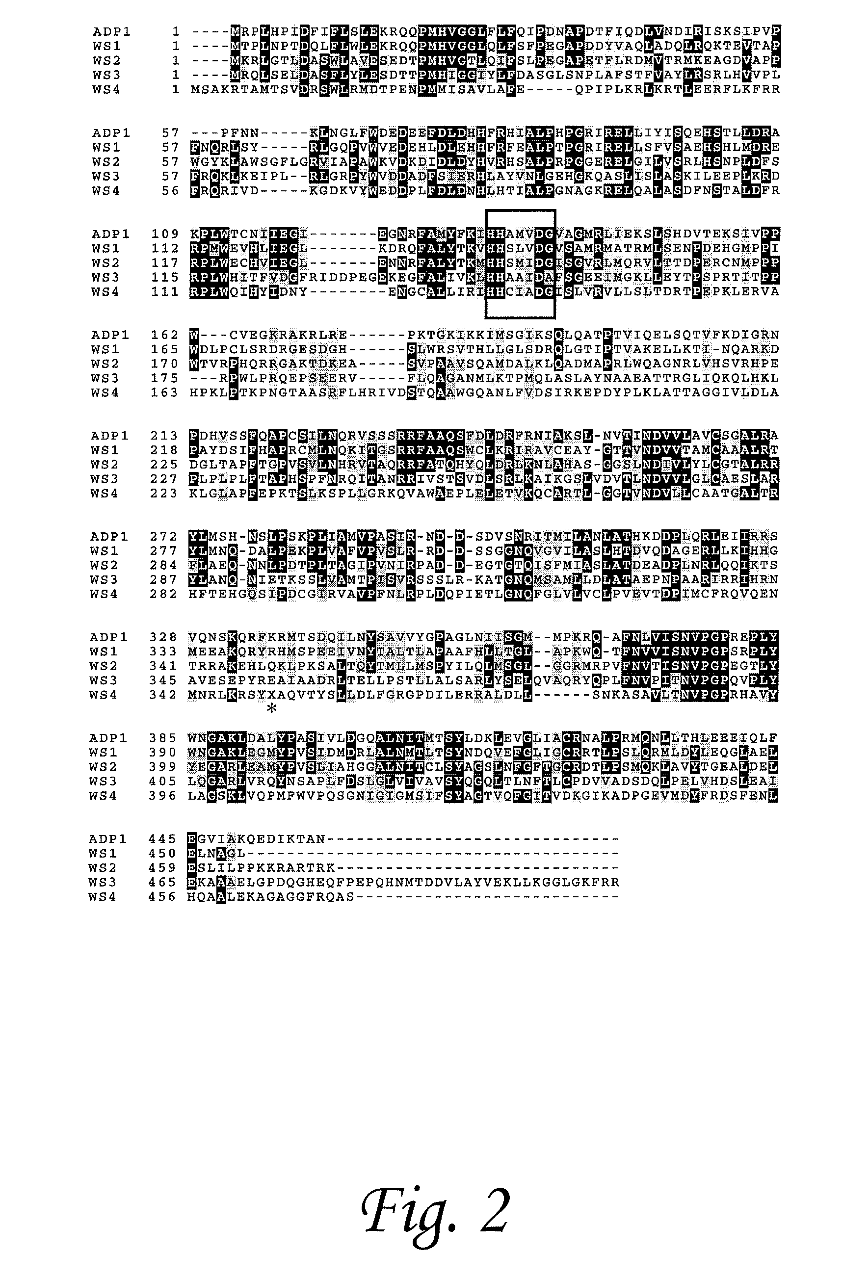 Isoprenoid wax ester synthases, isoprenoid acyl coa-synthetases, and uses thereof