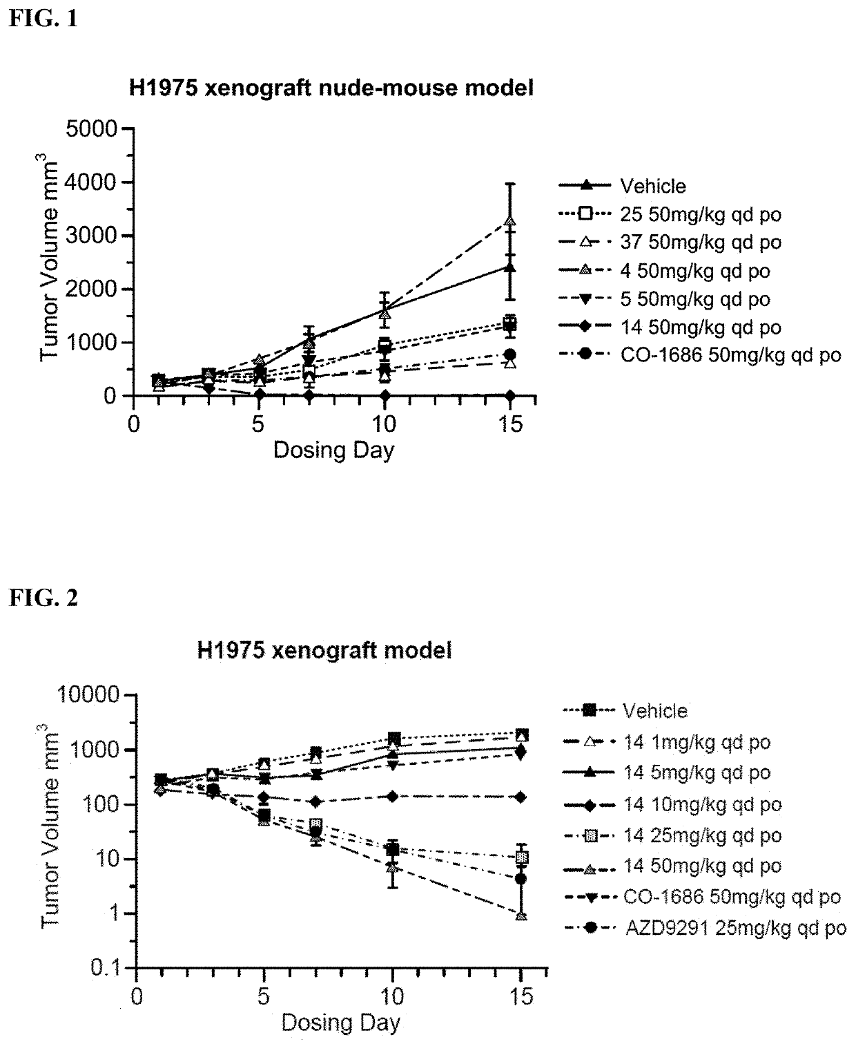 Use of pteridinone derivative serving as EGFR inhibitor