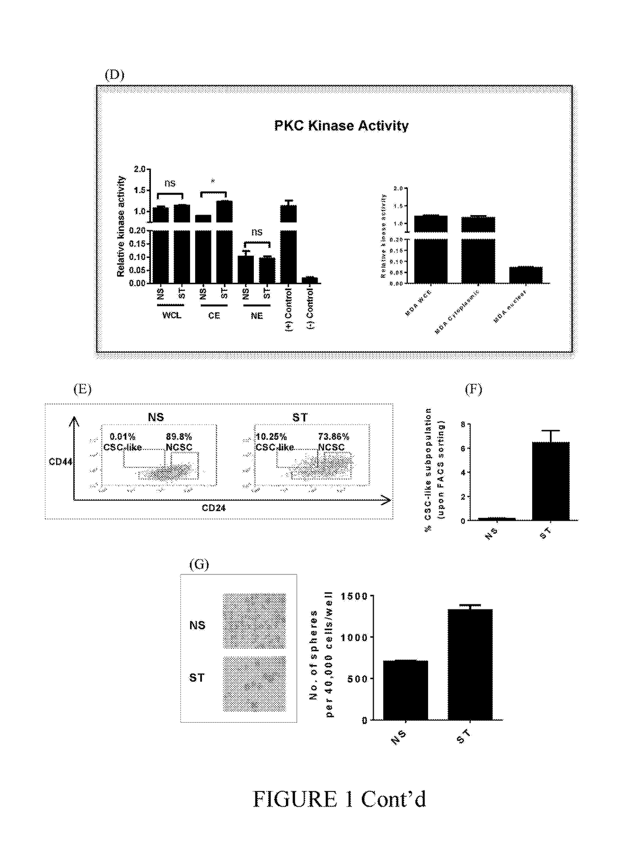 Stem cell modulation II