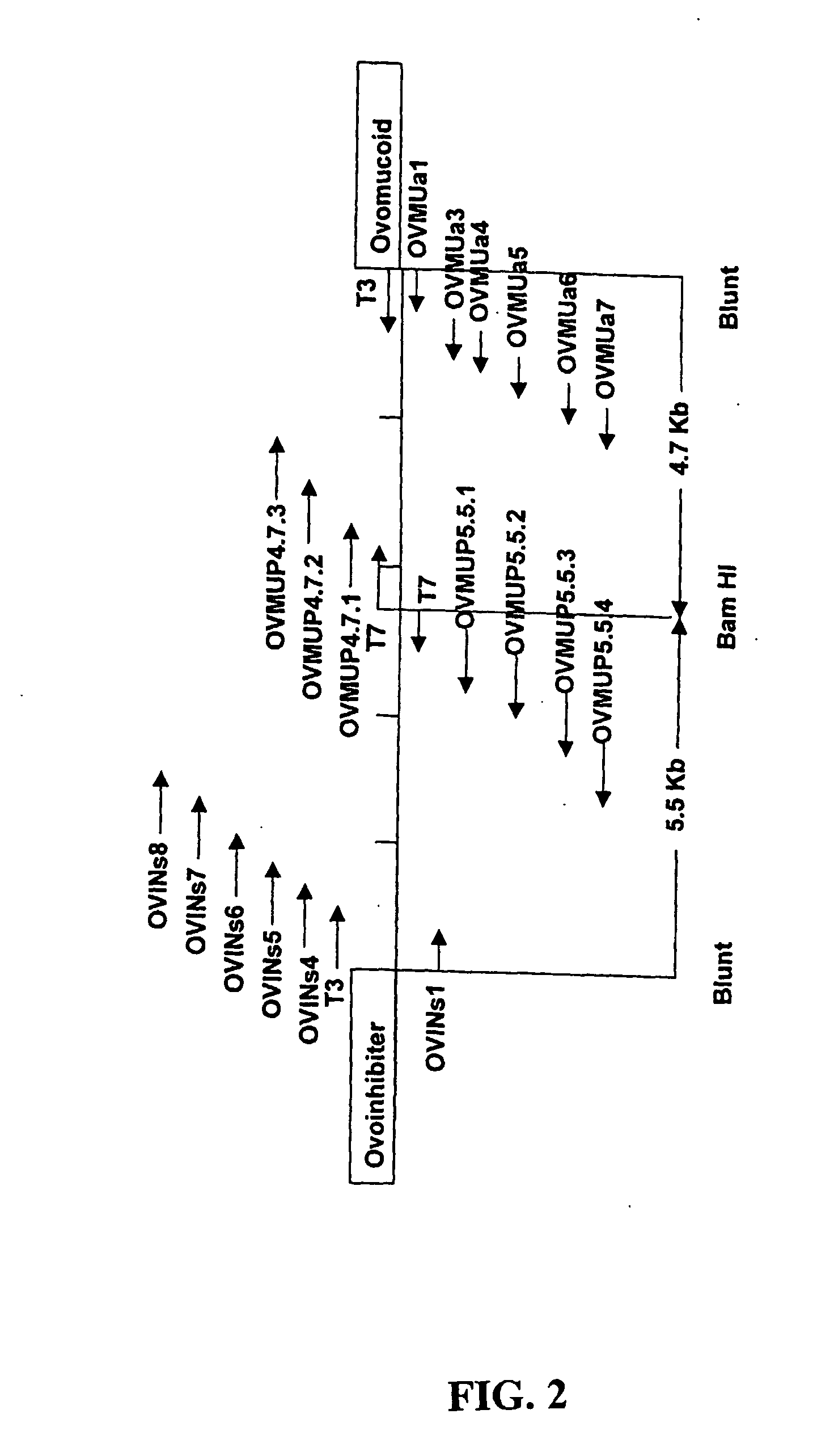 Ovomucoid promoters and methods of use