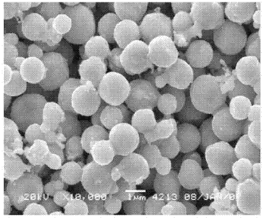 Preparation method for core-shell structural nickel-silver bimetallic powder