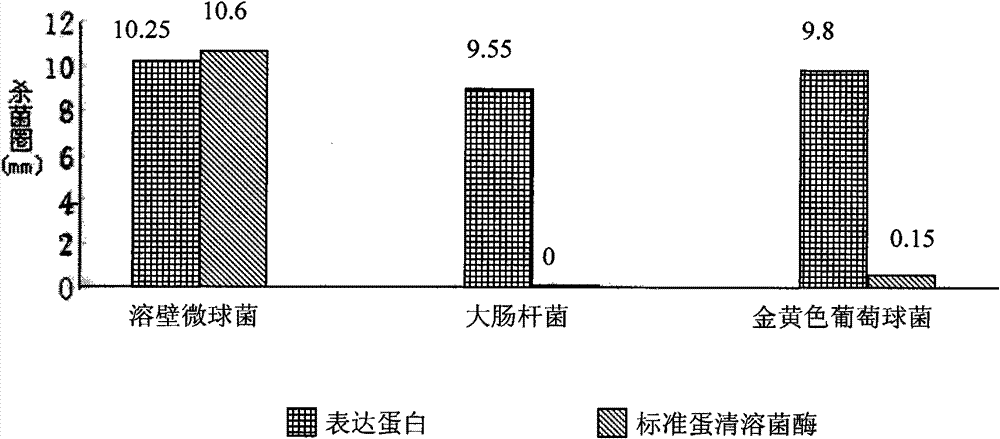 Dual-promoter inducible secretable shuttle plasmid and construction method thereof