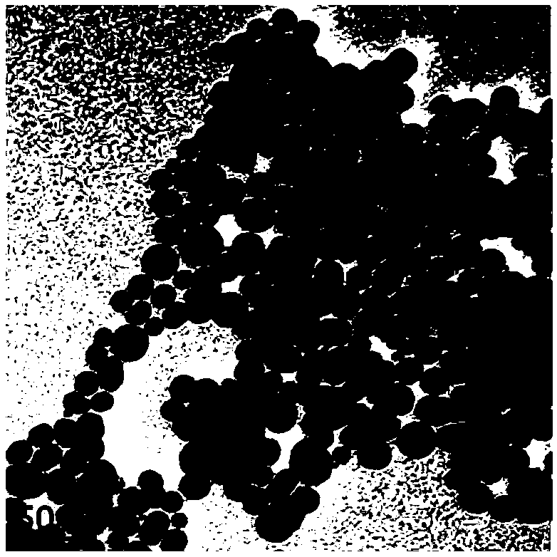 Preparation method of high-coercivity magnetic nanoparticle suspension