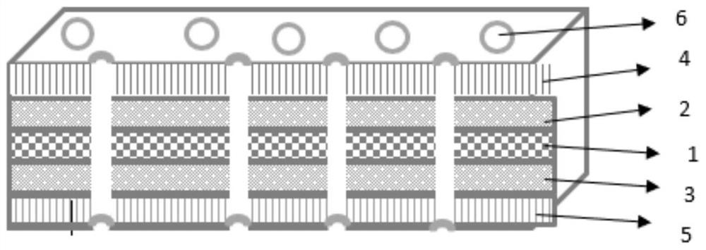 A composite electrical film and its preparation method