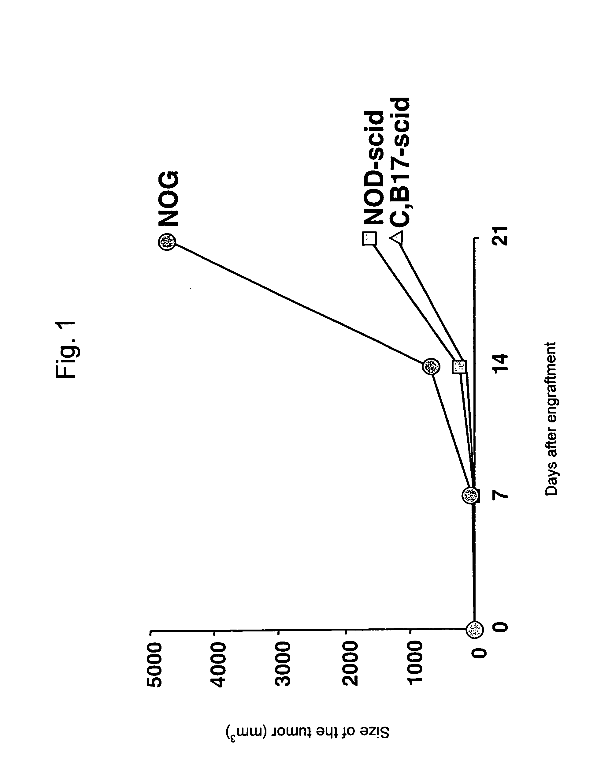 Animal model of human hematopoietic tumor