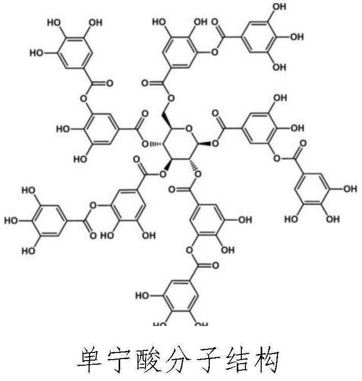 Washing-resistant alginate fiber and preparation method thereof