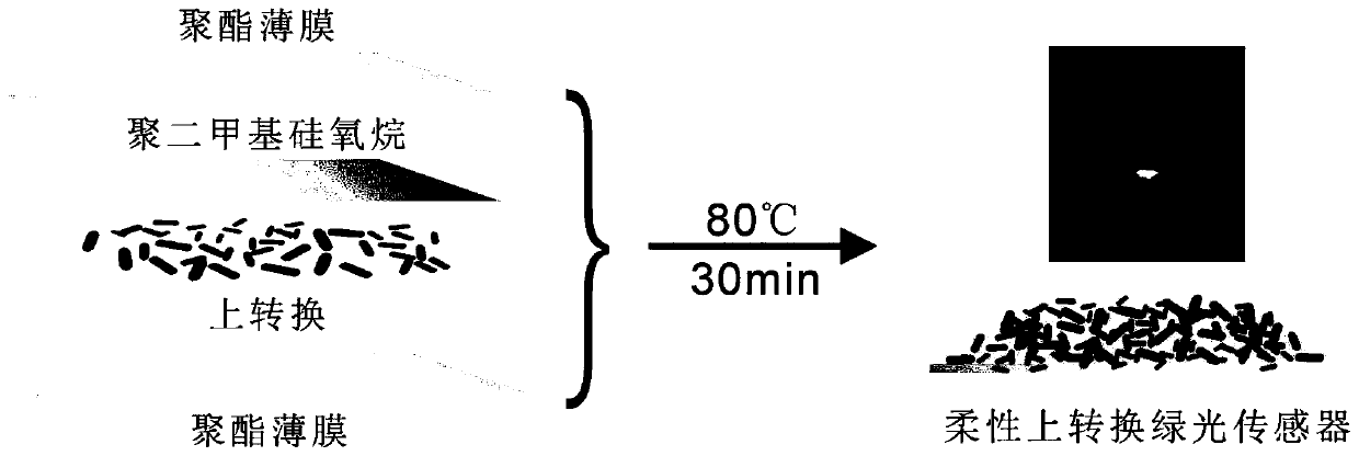 Flexible up-conversion green light sensor for living body and preparing method of sensor