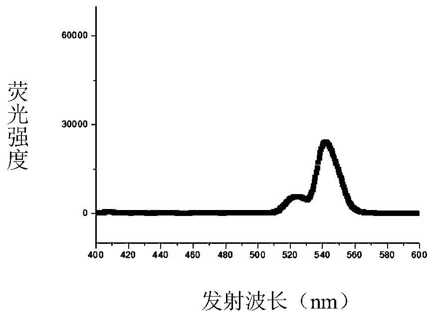 Flexible up-conversion green light sensor for living body and preparing method of sensor