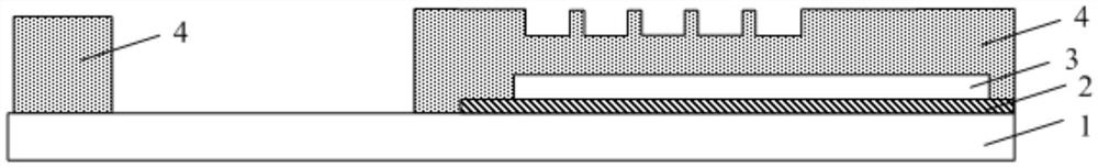 An array substrate and display device