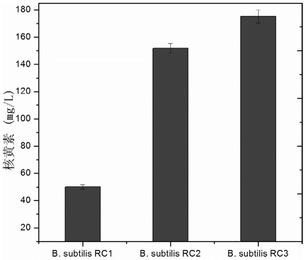 Two-component regulatory system mutant gene yvrH of bacillus subtilis and application thereof