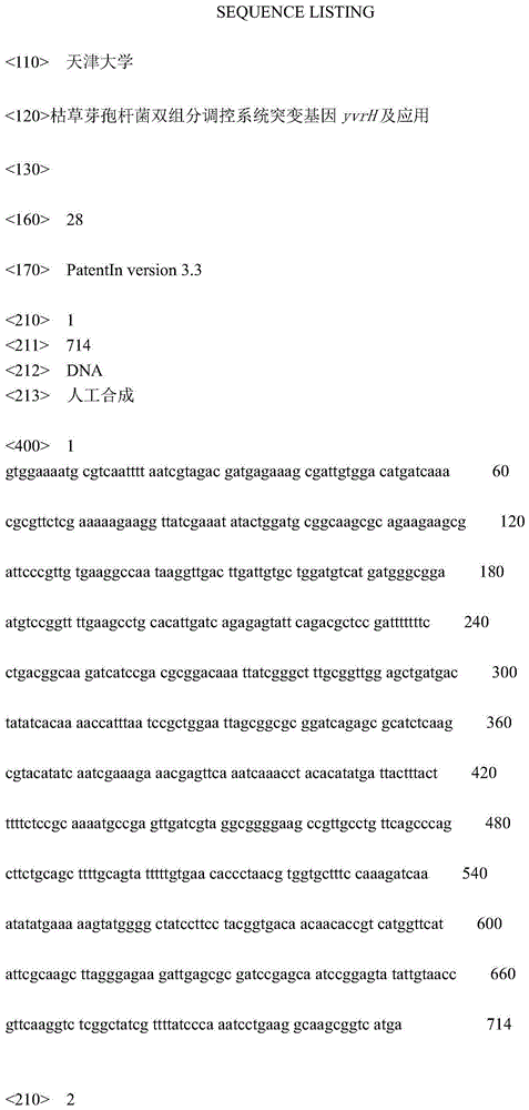 Two-component regulatory system mutant gene yvrH of bacillus subtilis and application thereof