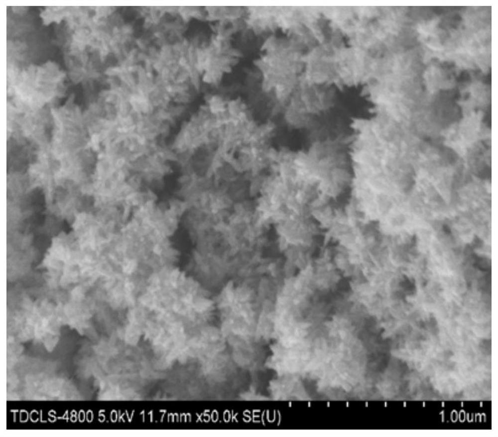 Titanium dioxide-carbon nanotube flexible composite film as well as preparation method and application thereof