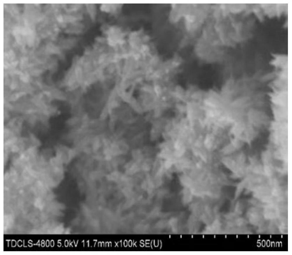 Titanium dioxide-carbon nanotube flexible composite film as well as preparation method and application thereof