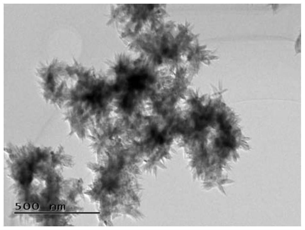 Titanium dioxide-carbon nanotube flexible composite film as well as preparation method and application thereof