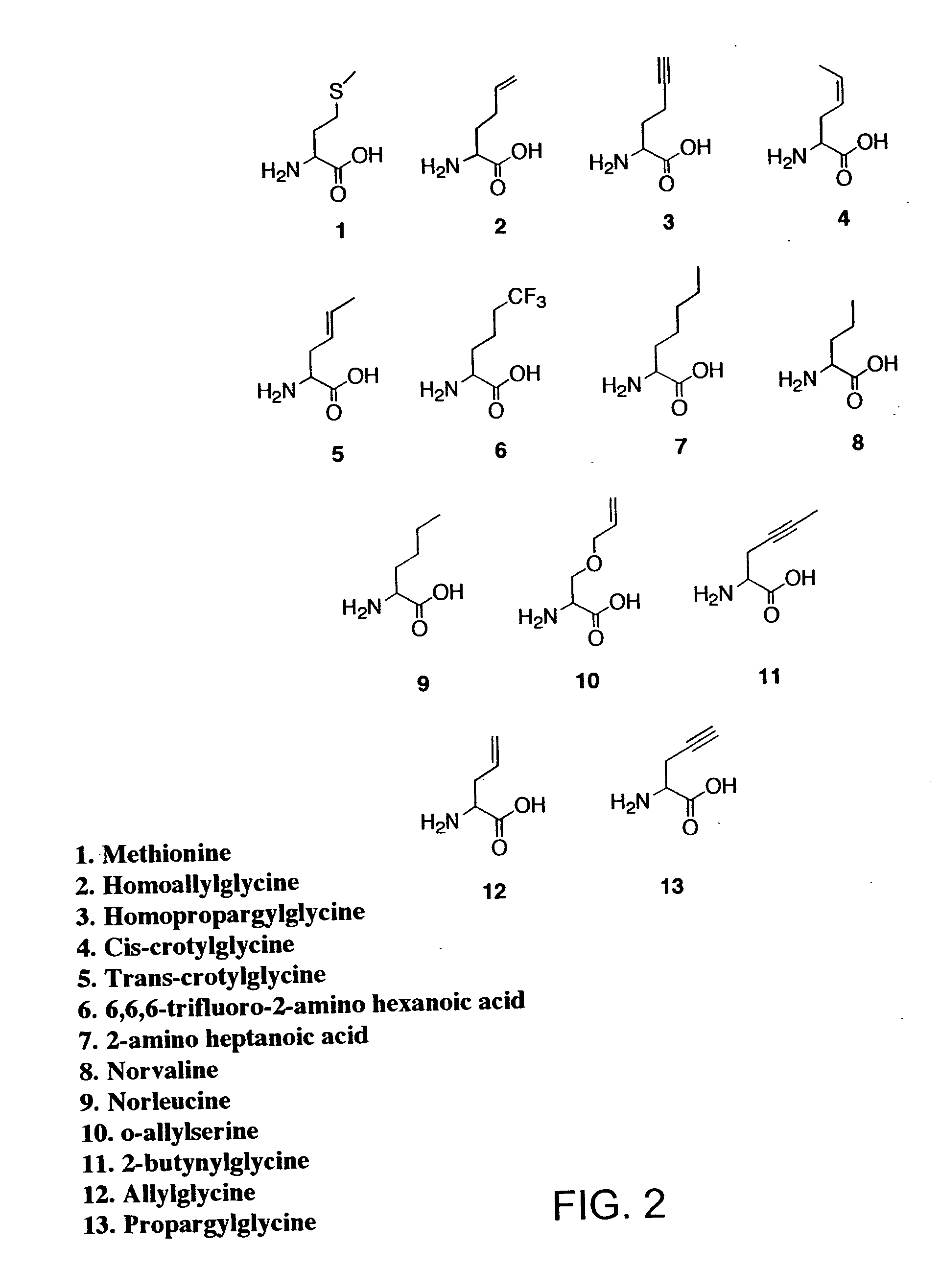 Overexpression of aminoacyl-tRNA synthetases for efficient production of engineered proteins containing amino acid analogues