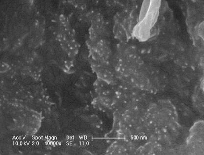 Preparation method of surface-modified pine needle-loaded lanthanum hydroxide adsorbent for phosphorus removal