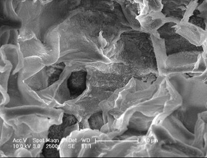 Preparation method of surface-modified pine needle-loaded lanthanum hydroxide adsorbent for phosphorus removal