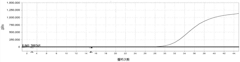 Dengue I Ii Iii Iv Type Rt Pcr One Step Mix Detection Kit And Detection Method Thereof