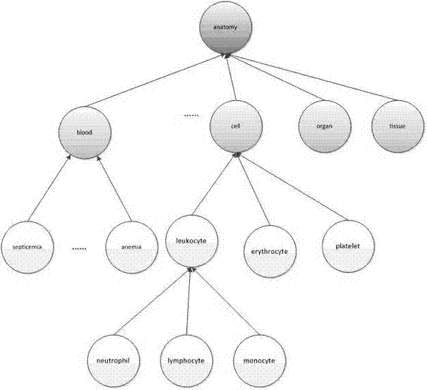 Ontology concept and hierarchical relation generation method