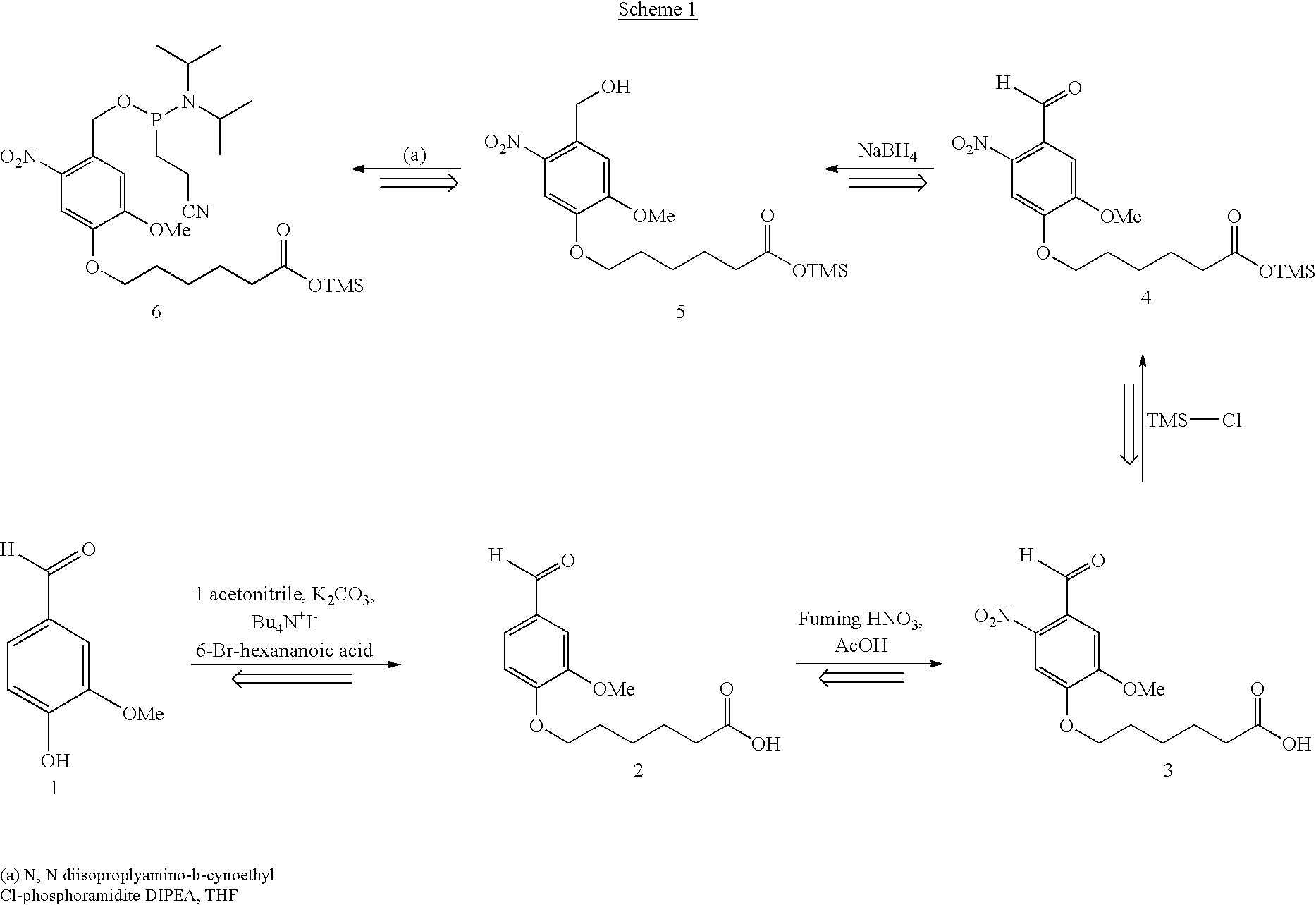 Targeted molecular bar codes and methods for using the same