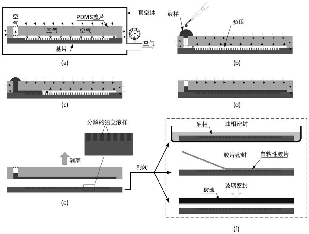 A large-scale and rapid digital decomposition chip for liquid phase samples and its application method