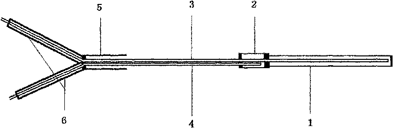 Jugular vein microdialysis probe and probe guiding device