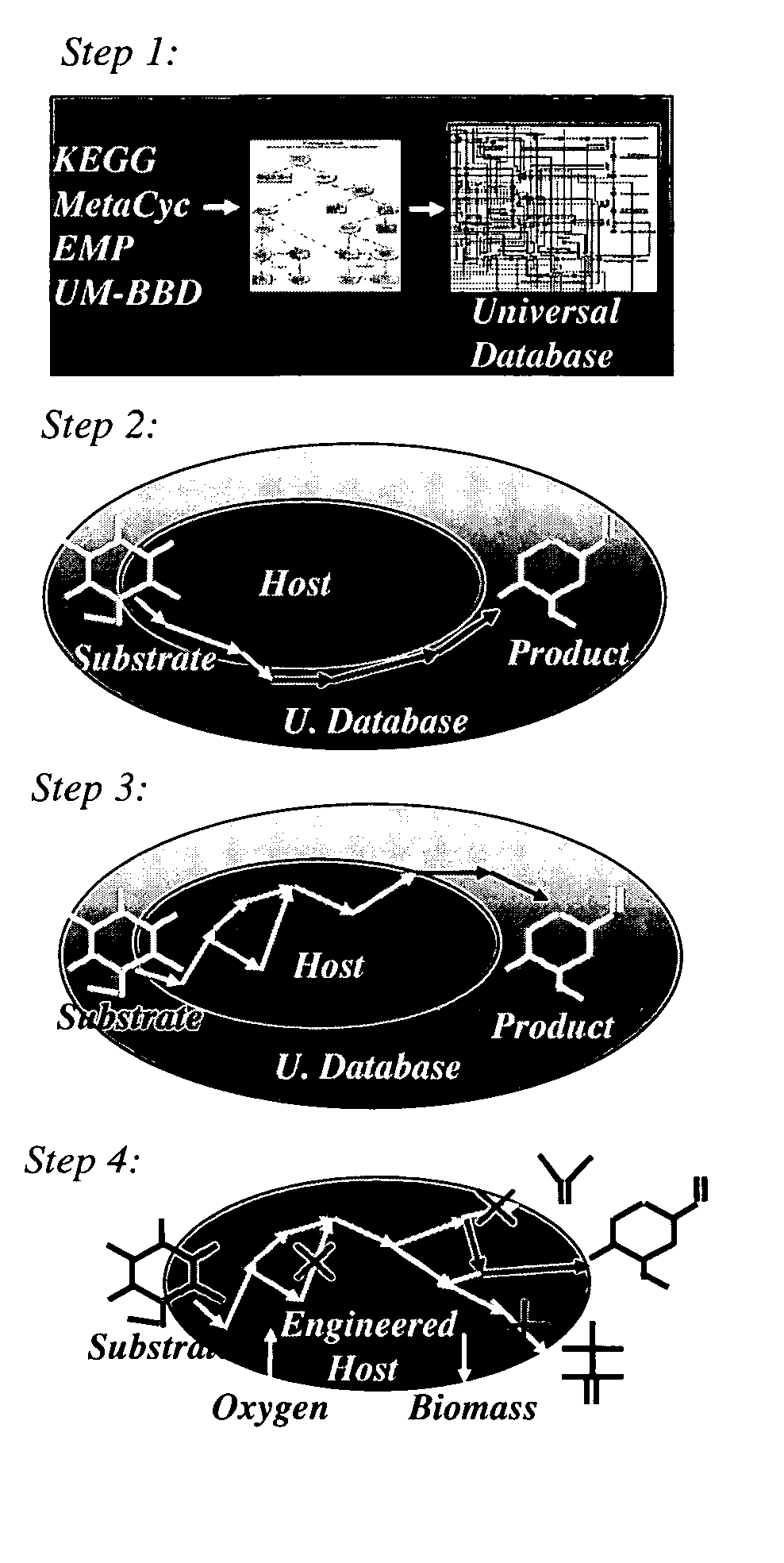 Method for redesign of microbial production systems