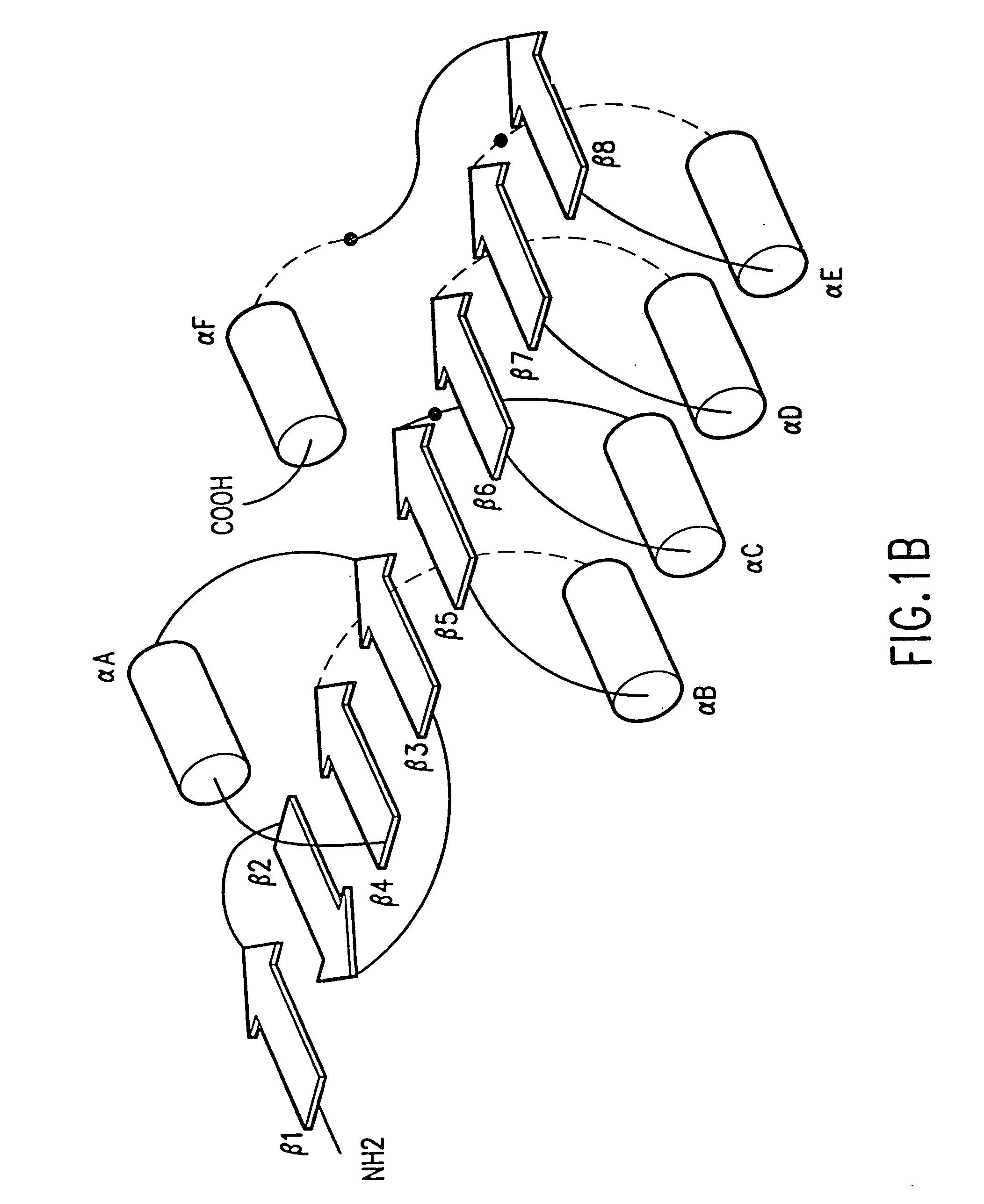 Stabilized proteins