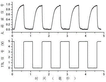 Light-controlled TeraHertz wave switch