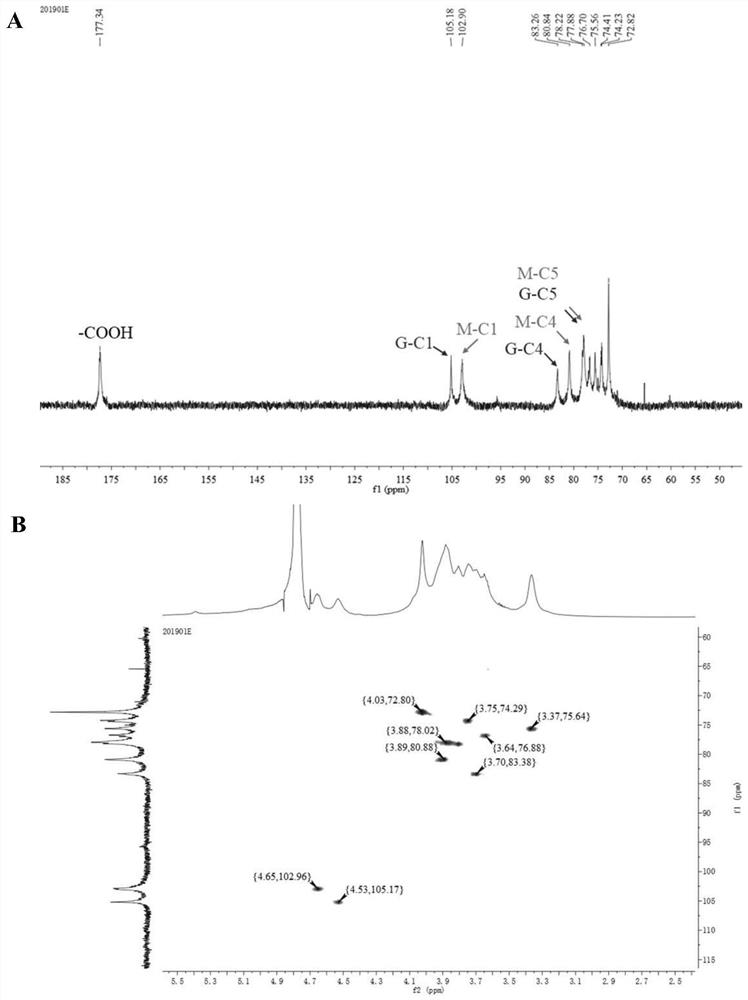 Beta-1, 4 type glucuronic acid/mannuronic acidstraight-chain hybrid oligosaccharide as well as preparation method and application thereof