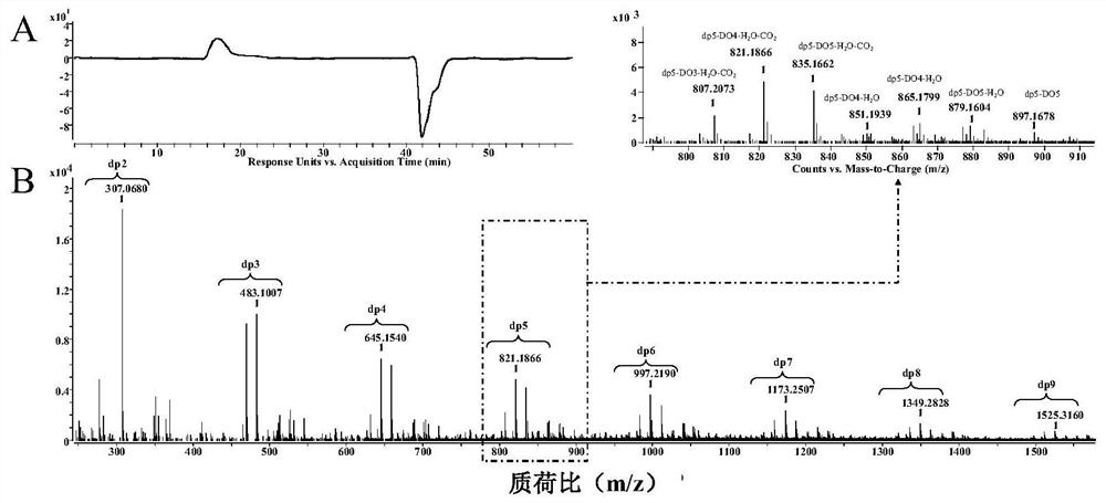 Beta-1, 4 type glucuronic acid/mannuronic acidstraight-chain hybrid oligosaccharide as well as preparation method and application thereof