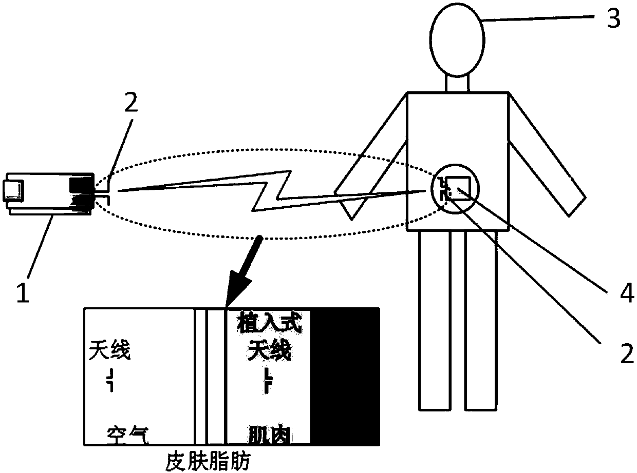 Human body channel modeling method, terminal device and storage medium