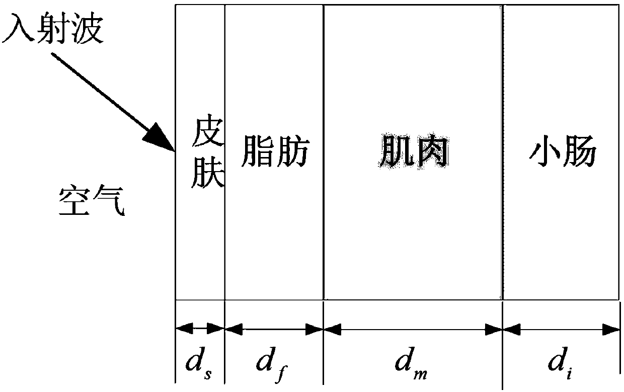 Human body channel modeling method, terminal device and storage medium