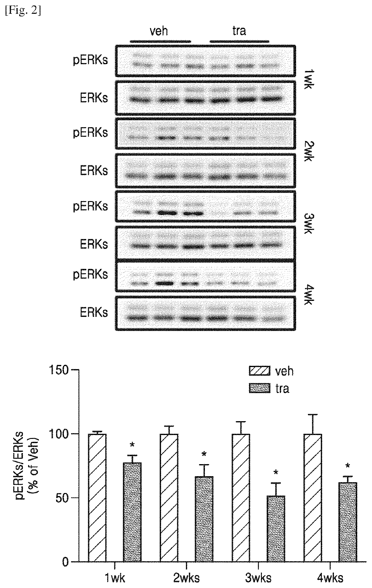 Administration method and dosage regimen for treatment of neurodegenerative diseases using trametinib and markers