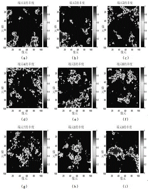 Hyperspectral image sparseness demixing method based on MFOCUSS and low-rank expression