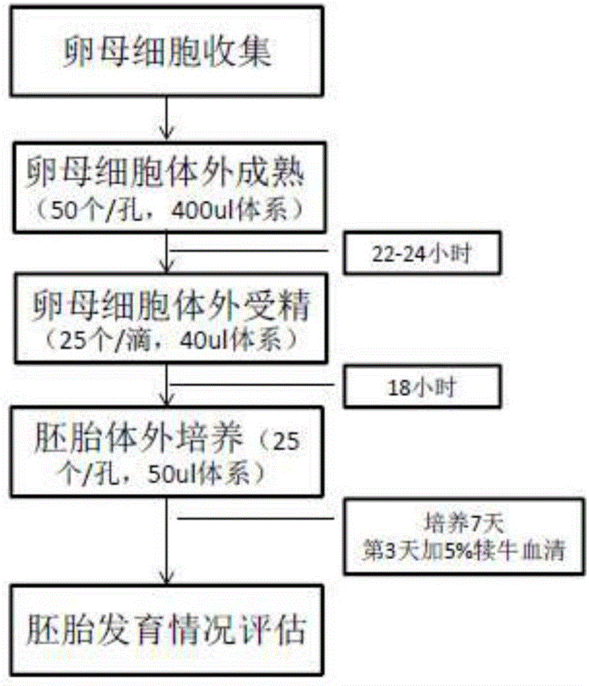 In-vitro embryo culture method