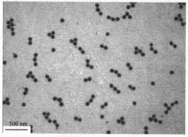 Surface-functionalized micro-nano polymer gel particle and preparation method thereof