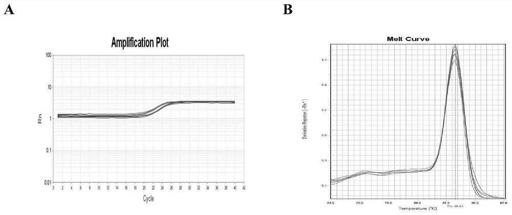 Method for diagnosing allergic airway inflammation