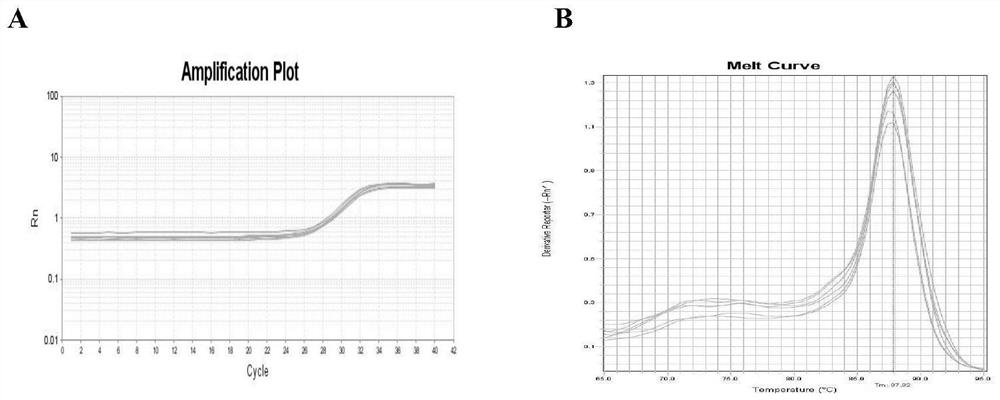 Method for diagnosing allergic airway inflammation