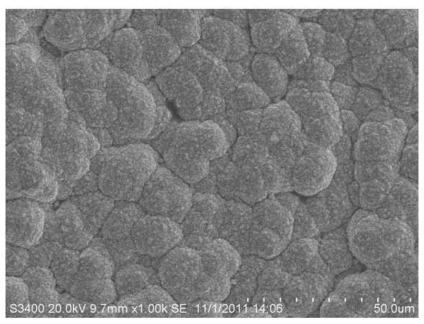 Anode electrode material, preparation method thereof, application and working method of anode electrode material in treating wastewater containing phenol by electrochemical oxidation