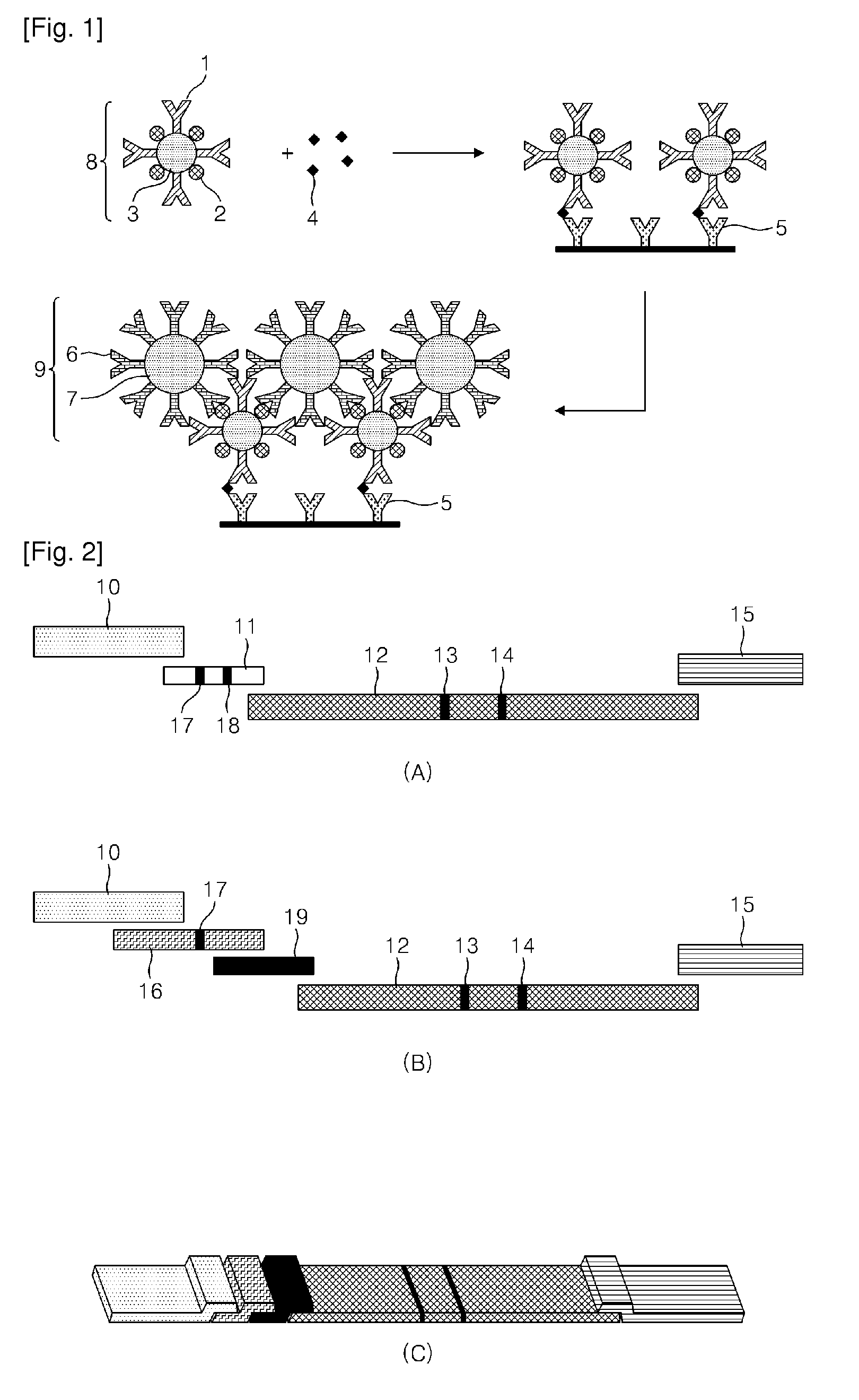 Method for Amplification of Signal in Immunochromatographic Assay and Immunochromatographic Kit Using the Method