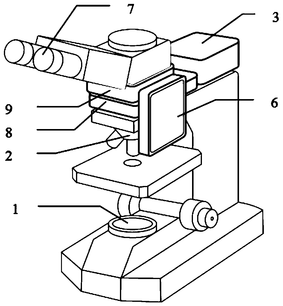 Microscope and control method thereof