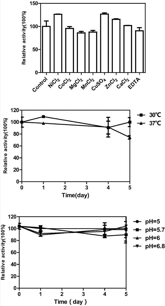 A kind of metal ion tolerance, heat stability and acid stability sialidase and its application