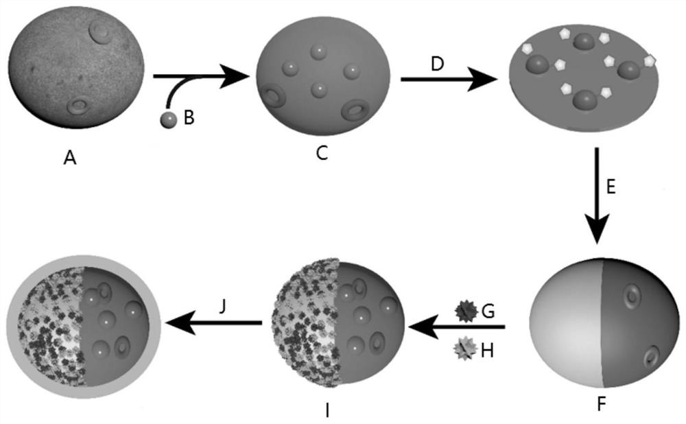 Living cell drug delivery system based on macrophages as well as preparation method and application of living cell drug delivery system