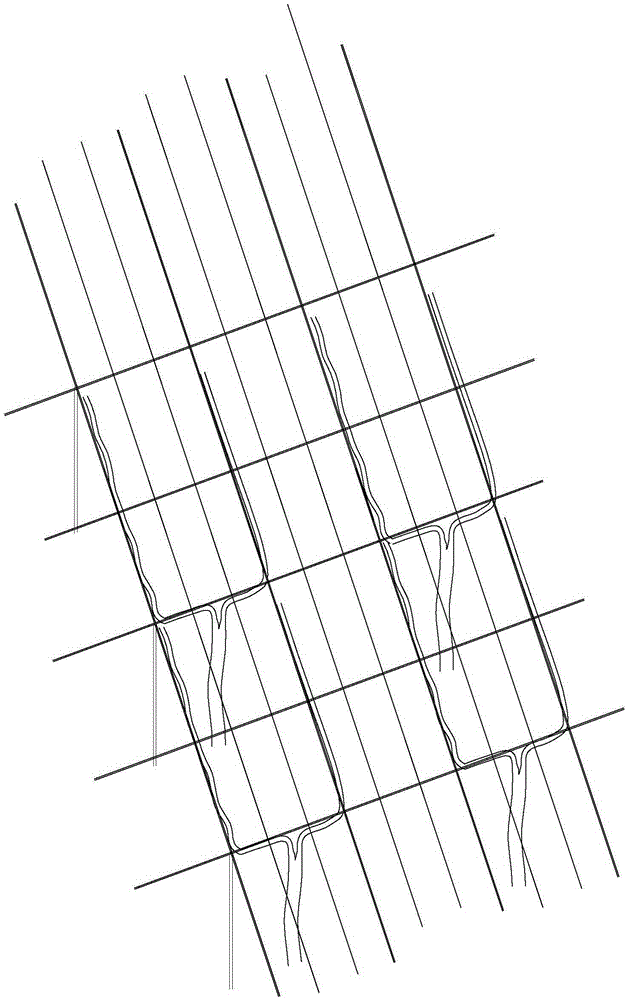 Tu-shape shaping and pruning technology of crystal grape slope