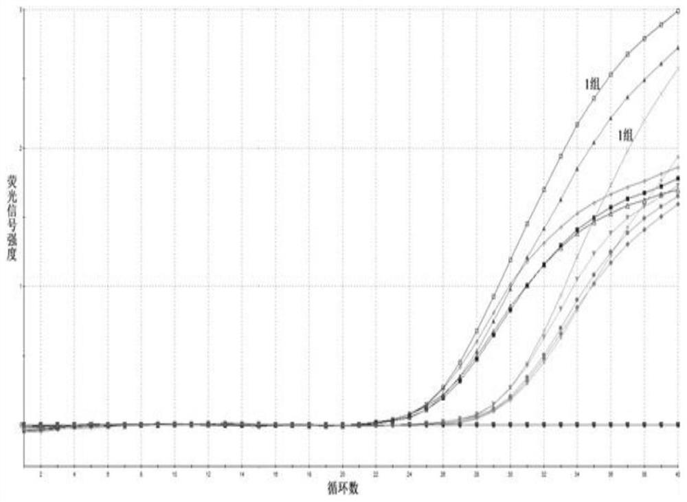 Fluorescent quantitative PCR detection primer group and kit for ...