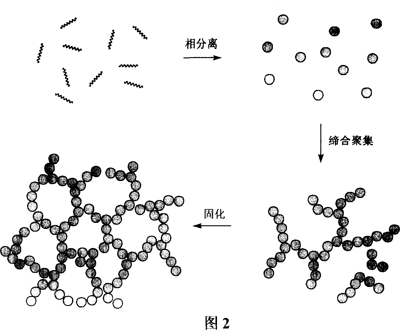 Method of preparing line type polyolefin cellular material