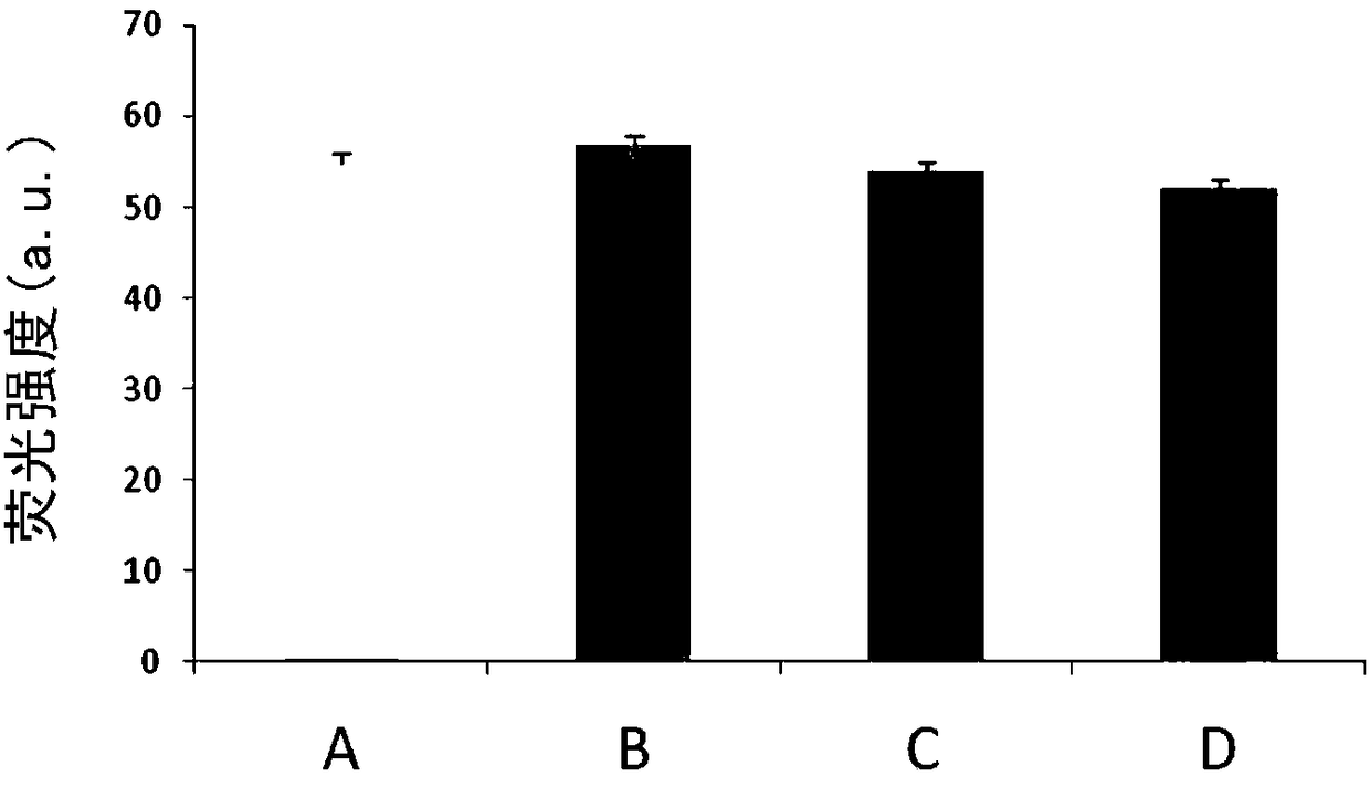 Marking and identifying method of micro-particle carrier and application of marking and identifying method