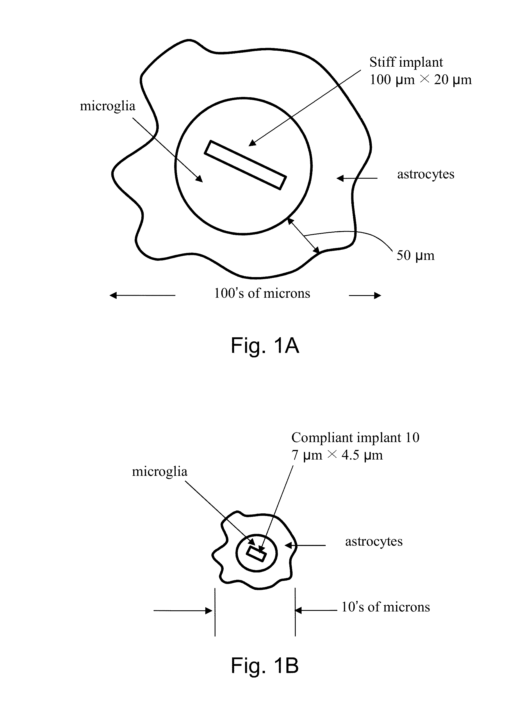 Apparatus and method for implantation of devices into soft tissue