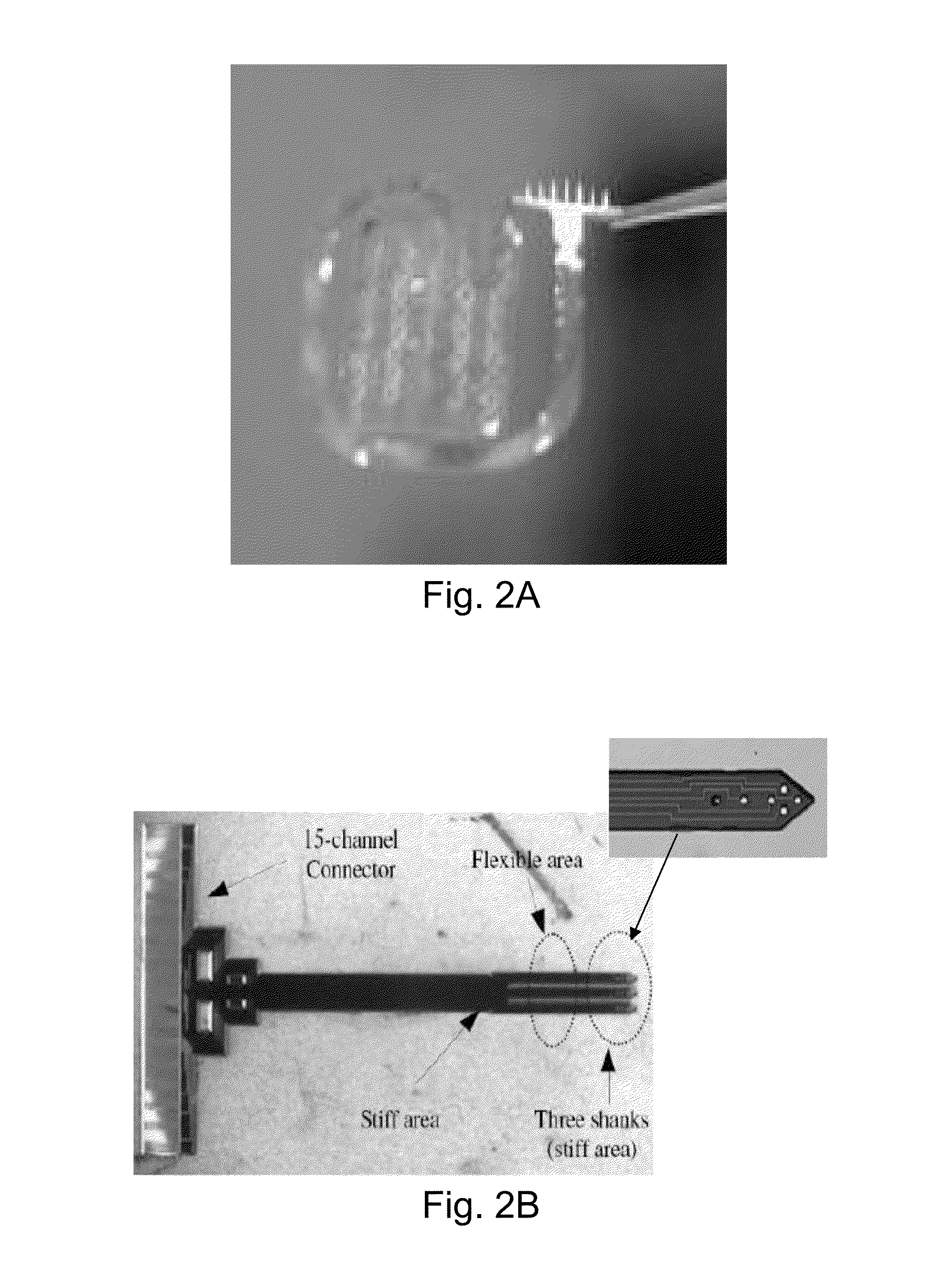 Apparatus and method for implantation of devices into soft tissue